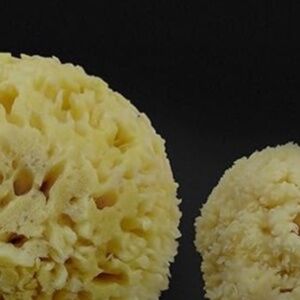 cosmetic organic Sea Sponges bath or cosmetics 2pc L + M Constantia Beauty
